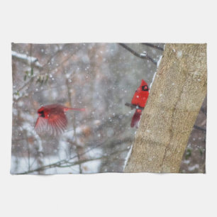 Kardinaler i Snö Kökshandduk