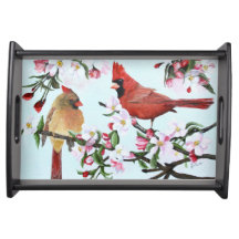 Kardinaler och Apple blommar