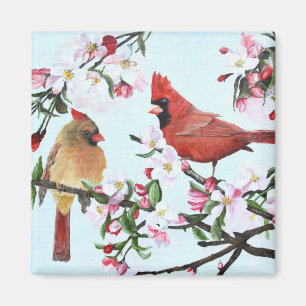 Kardinaler och Apple blommar Magnet