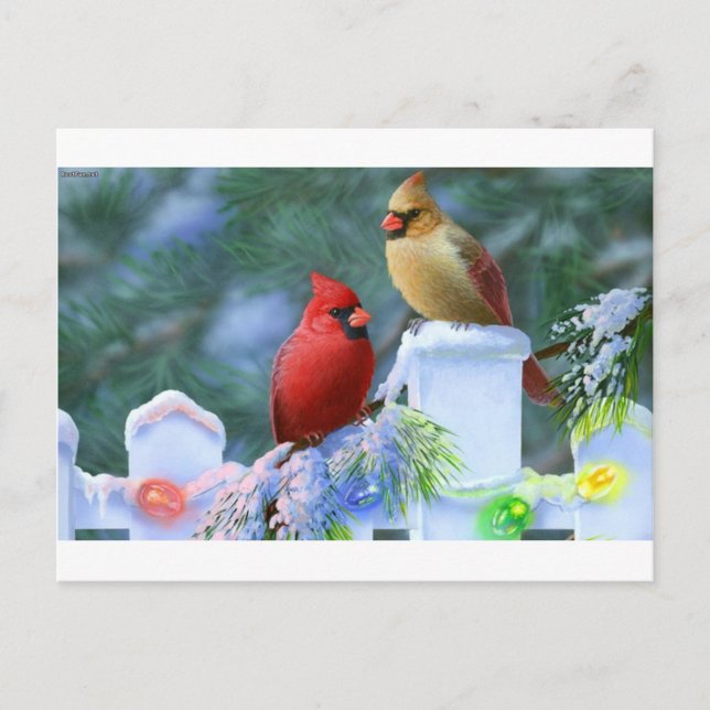 Kardinaler och Ljus, jul Helg Vykort (Framsida)