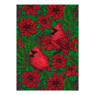 Kardinaler och poinsettia för jul fototryck