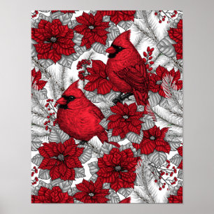 Kardinaler och poinsettia i rött och vitt poster