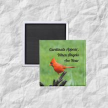 Kardinaler syns änglar nära magnet dekoration
