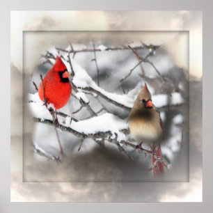 Kardinaler Winter Scene Poster