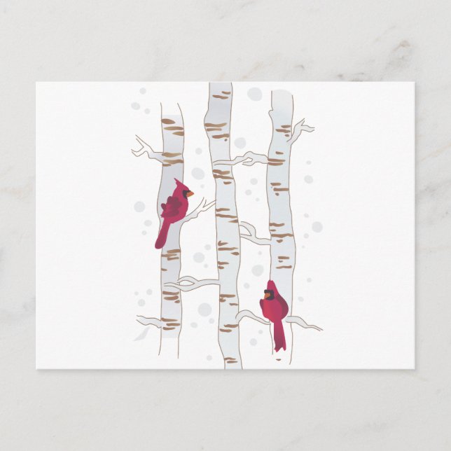 Kardinalerna i Aspen Vykort (Framsida)