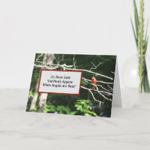 Kardinalerna står nära Änglar - Guds syn