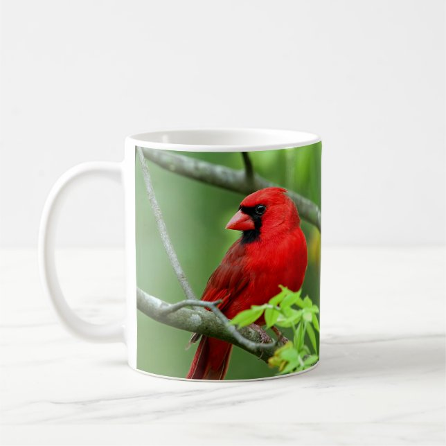 Kardinalfåglar på trädet kaffemugg (Vänster)