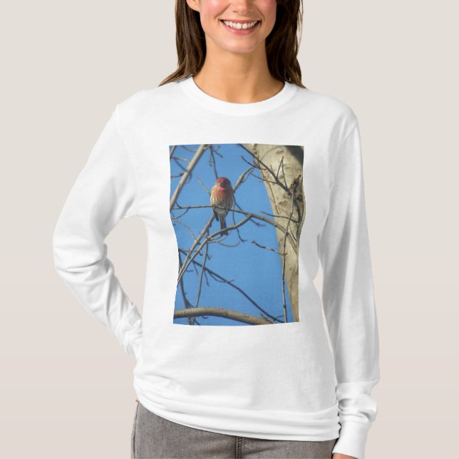 Kardinalfåglar T-shirt (Framsida)