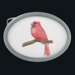 Kardinalfåglars vattenfärg<br><div class="desc">illustration av en kardinalfågel på en gren som är målad med vattenfärger. Här kan du se målning processaa: http://bit.ly/2zCeRZe</div>