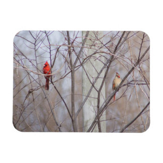 Kardinalfamiljen Magnet