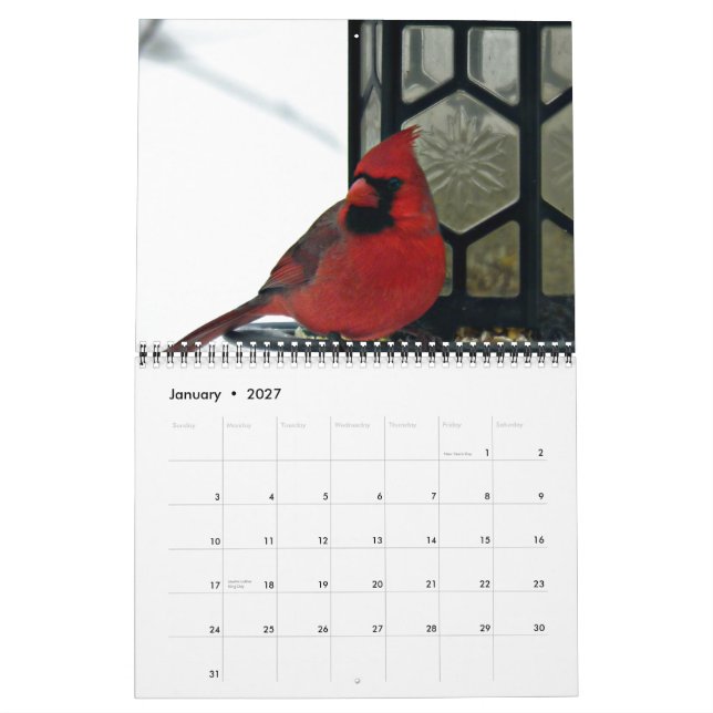 Kardinalfoto 2015-kalender kalender (Jan 2027)