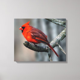 KardinalKanvastryck Canvastryck