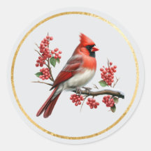 Kardinalkuvert Closure Sälar