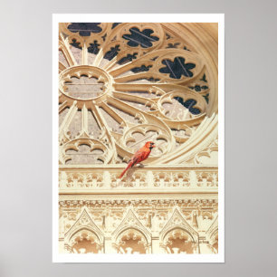 "Kardinalkyrkan" och fågelvattenfärgen Poster