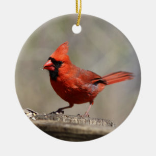 Kardinalornament Julgransprydnad Keramik