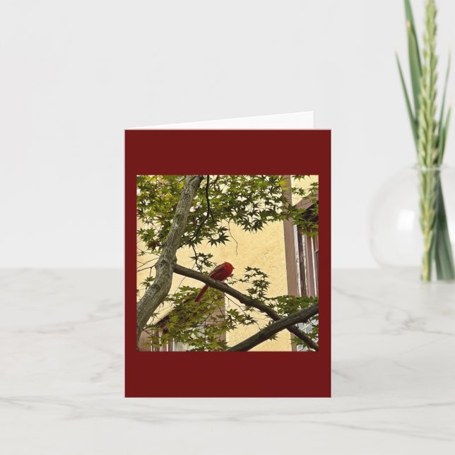 kardinalröd kort (Framsida)