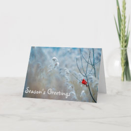 Kardinalsäsongens hälsningar Helgdag julkort Kort