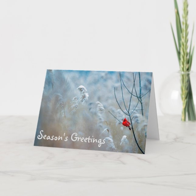 Kardinalsäsongens hälsningar Helgdag julkort Kort (Framsida)