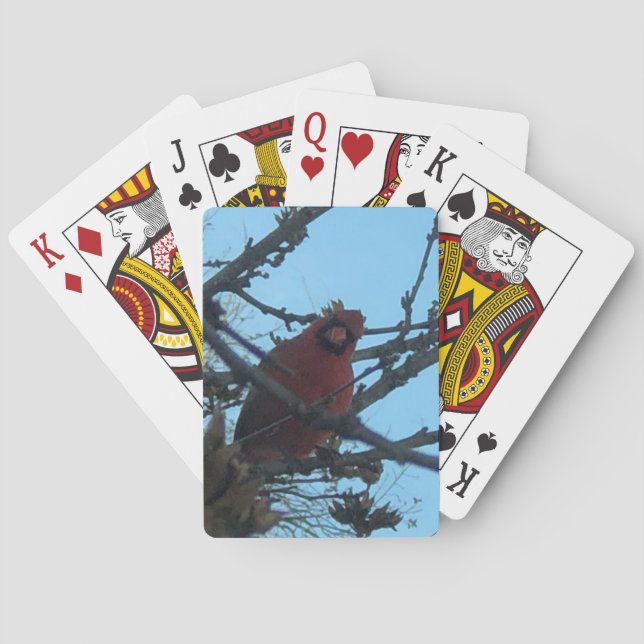 Kardinalspelkort Casinokort (Baksidan)