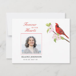 Kardinalsympati Funeral Photo Tack Kort