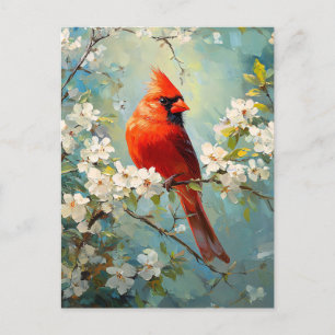 Kardinalvit blomning Art Vykort