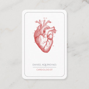 Kardiolog Doktor Anatomical Heart Illustration Visitkort