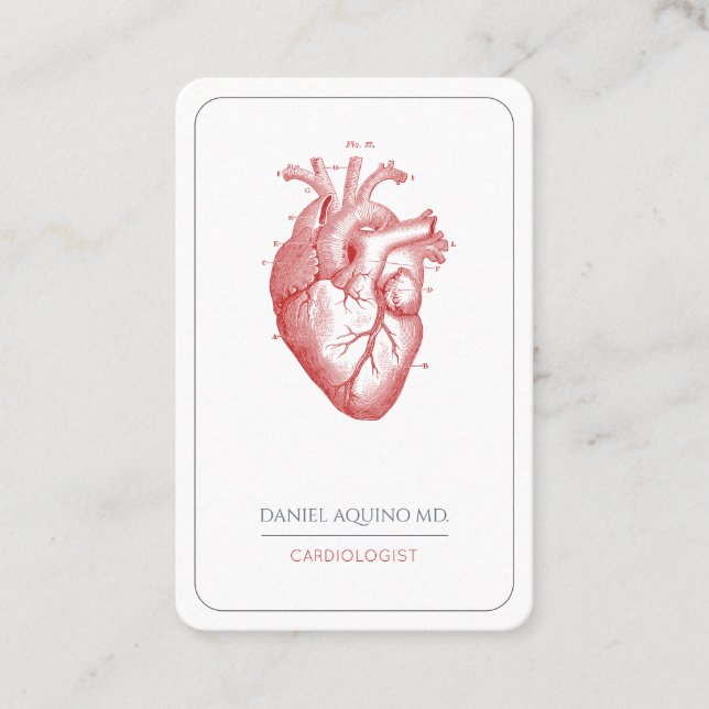Kardiolog Doktor Anatomical Heart Illustration Visitkort (Framsida)