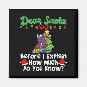 Käre Tomte Innan Jag Förklarar Hur Mycket Vet Du Magnet