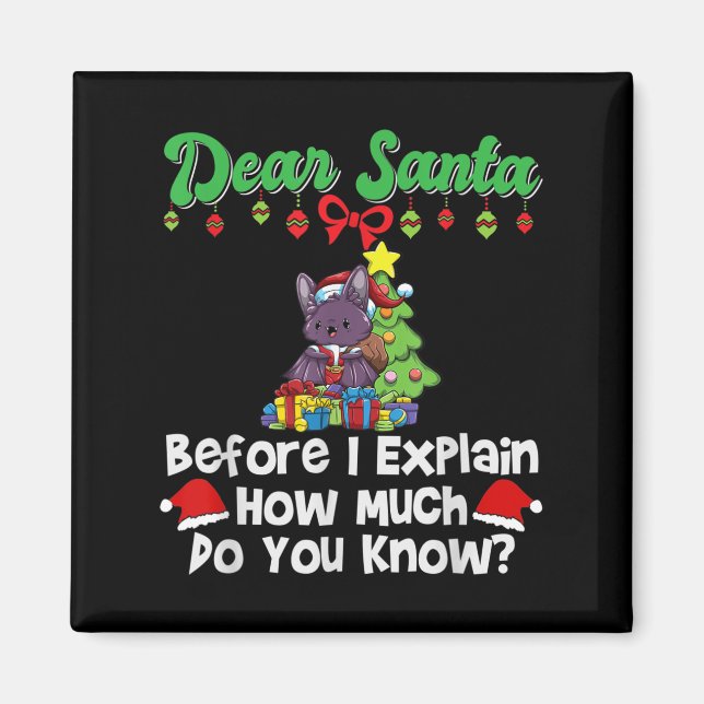Käre Tomte Innan Jag Förklarar Hur Mycket Vet Du  Magnet (Framsidan)