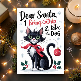Käre Tomte Ta med Kattemynta Roligt Katt Jul Helgkort