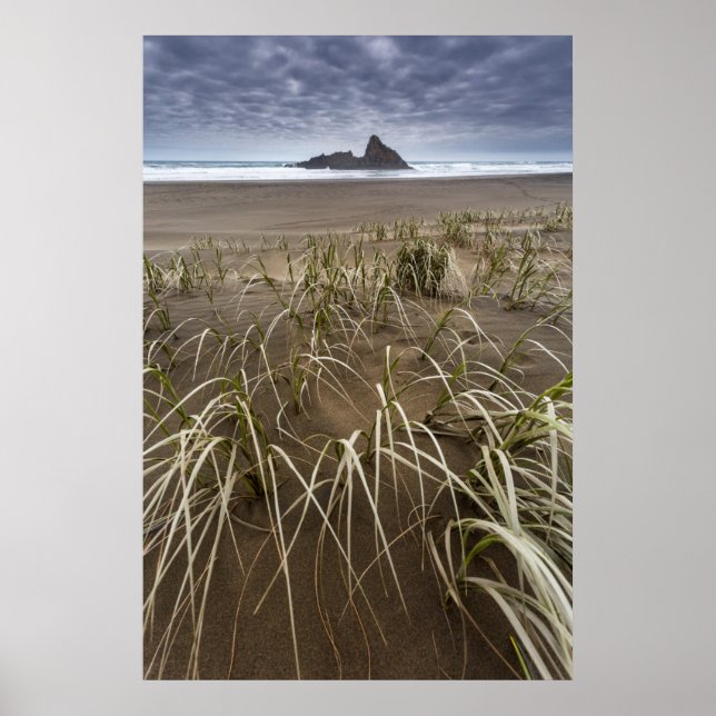 Karekare Beach | Panatahi Island, Väster, Kusten Poster (Framsidan)