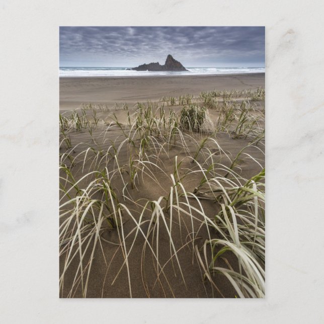 Karekare Beach | Panatahi Island, Väster, Kusten Vykort (Framsida)
