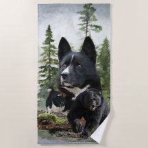 Karelian Bear Hund