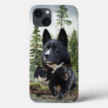 Karelian Bear Hund