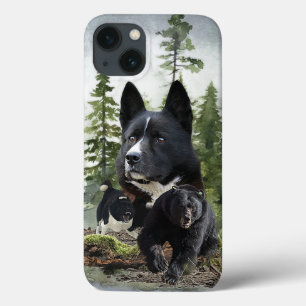 Karelian Bear Hund