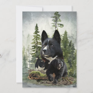 Karelian Bear Hund Inbjudningar