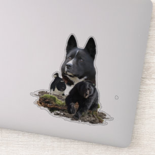 Karelian Bear Hund Sticker Klistermärken