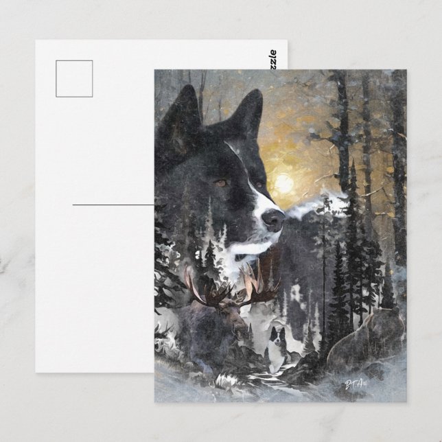 Karelian Bear Hund Vykort (Fram/baksida)