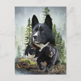 Karelian Bear Hund Vykort