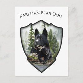 Karelsk björnhund vykort