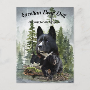 Karelsk björnhund vykort