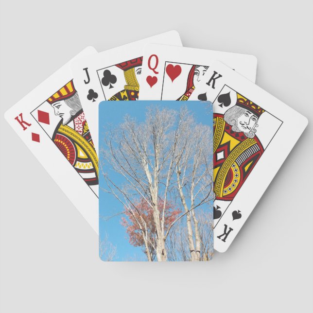 Karga träd casinokort (Baksidan)