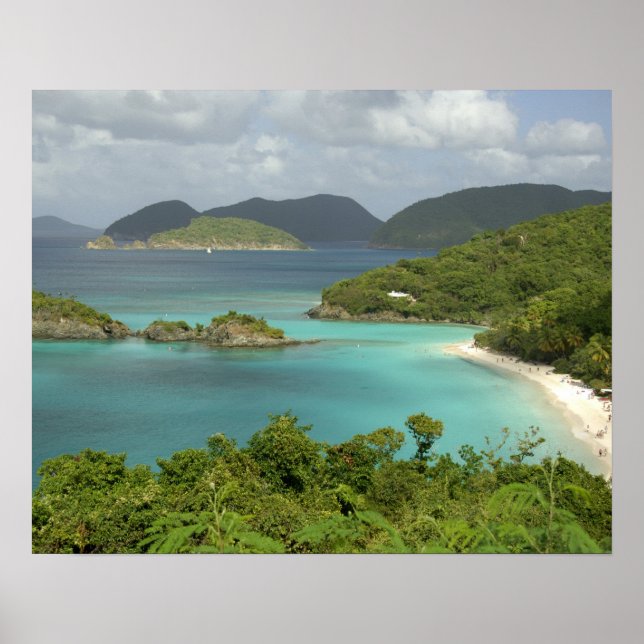 Karibien, Amerikanska Jungfruöarna, St. John, Trun Poster (Framsidan)