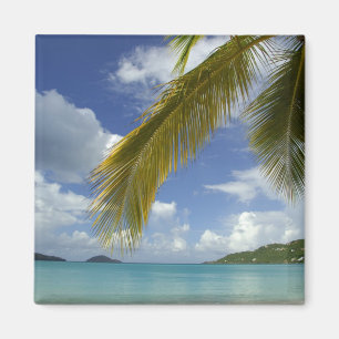 Karibien, Amerikanska Jungfruöarna, St. Thomas, Magnet