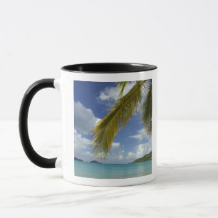 Karibien, Amerikanska Jungfruöarna, St. Thomas, Mugg