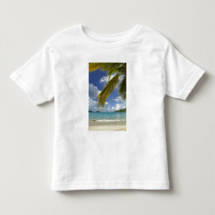 Karibien, Amerikanska Jungfruöarna, St. Thomas, Tee
