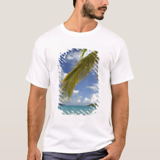 Karibien, Amerikanska Jungfruöarna, St. Thomas, Tee Shirt