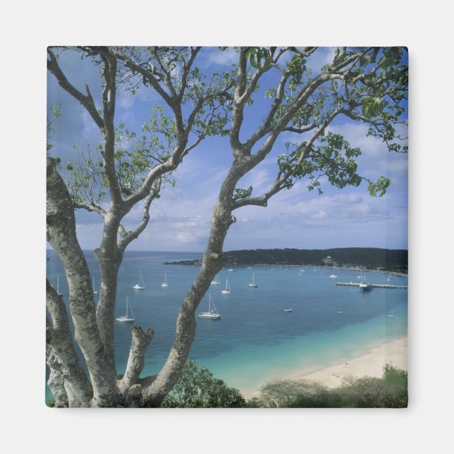 Karibien, Anguilla-ön, Road Bay Harbour. Magnet (Framsidan)