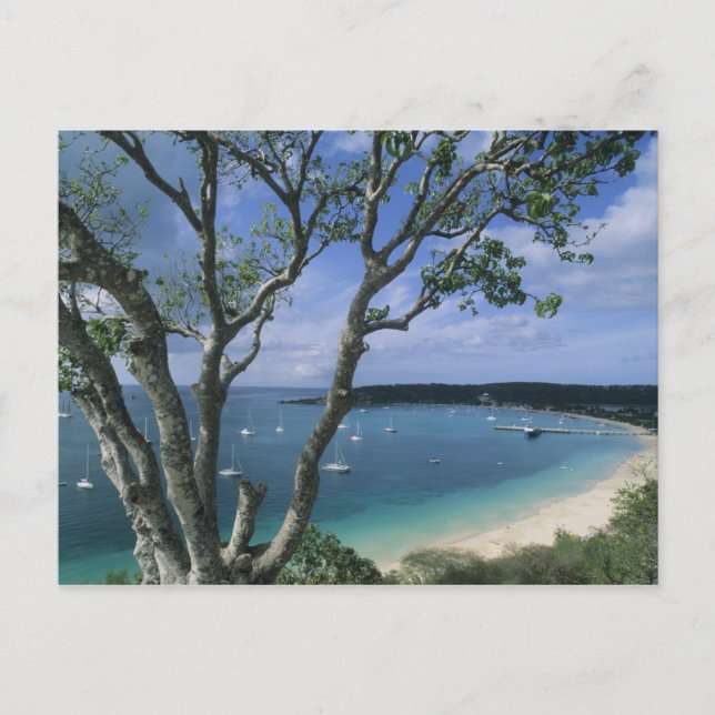 Karibien, Anguilla-ön, Road Bay Harbour. Vykort (Framsida)