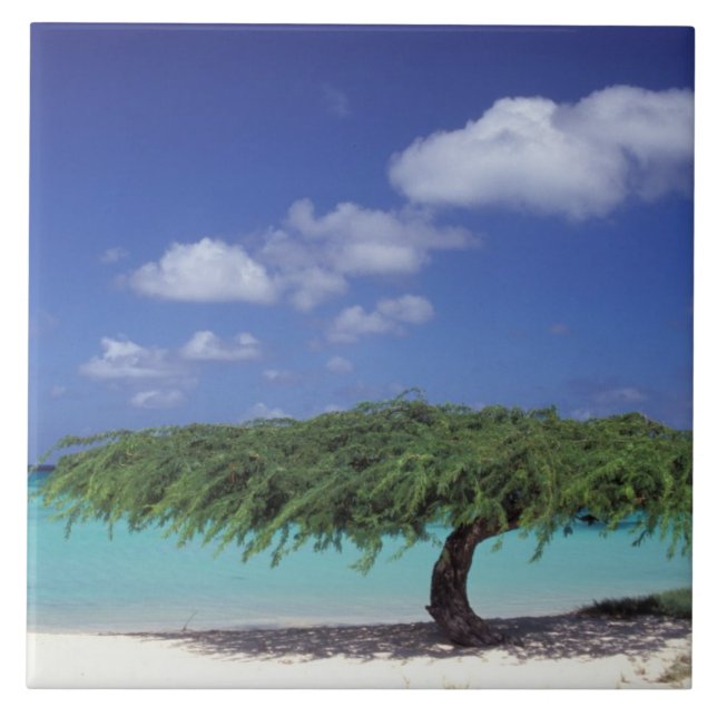 Karibien, Aruba. Åldersblock Kakelplatta (Framsidan)